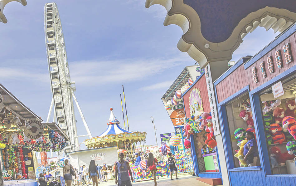 Amusement Partk Trip Bus Charter & Rental