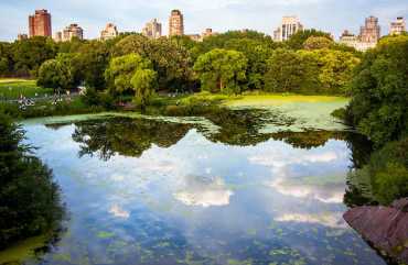 Group guide to visit Central Park