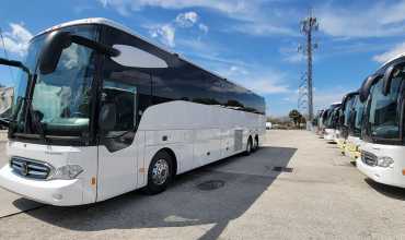 bus charter brooklyn
