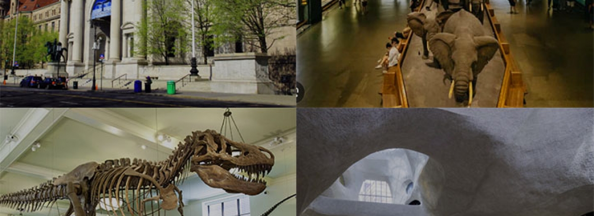 American Museum of Natural History