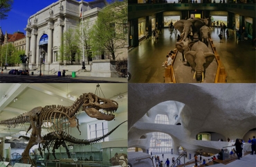 American Museum of Natural History