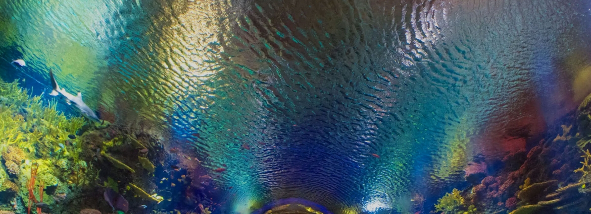 New York Aquarium
