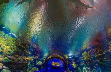 New York Aquarium