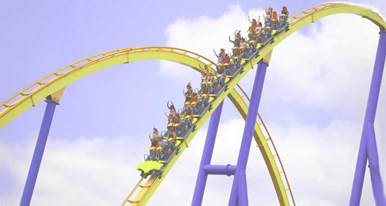 Amusement Park Trips
