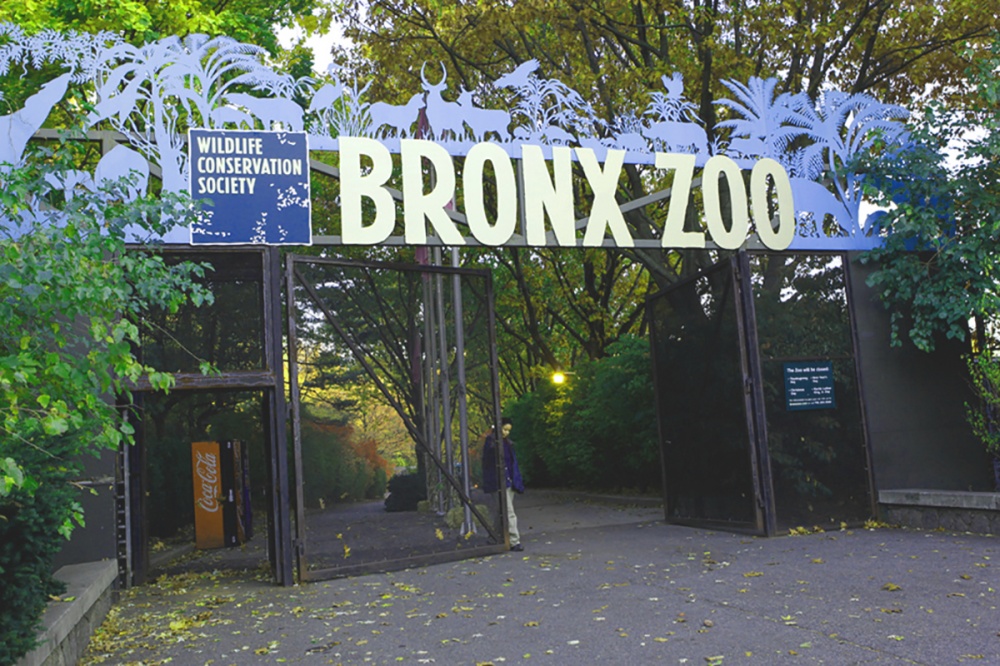 Bronx Zoo