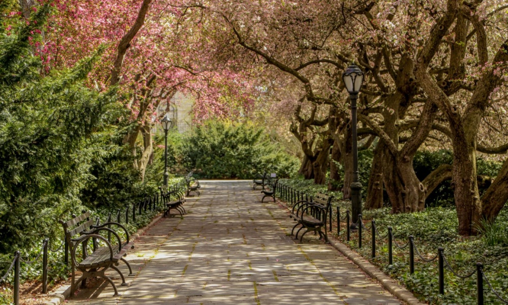 Things to Do in Central Park