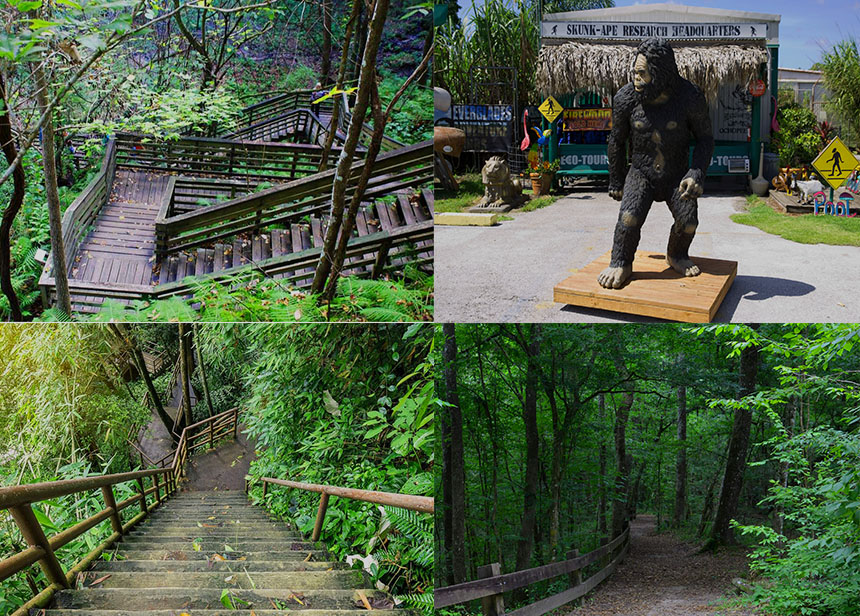 Skunk Ape Research Headquarters