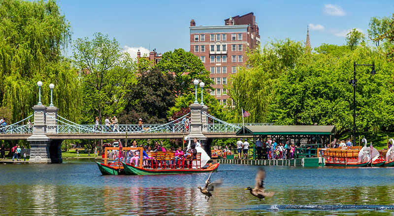 Boston Enjoy the Beauty of Boston Public Garden