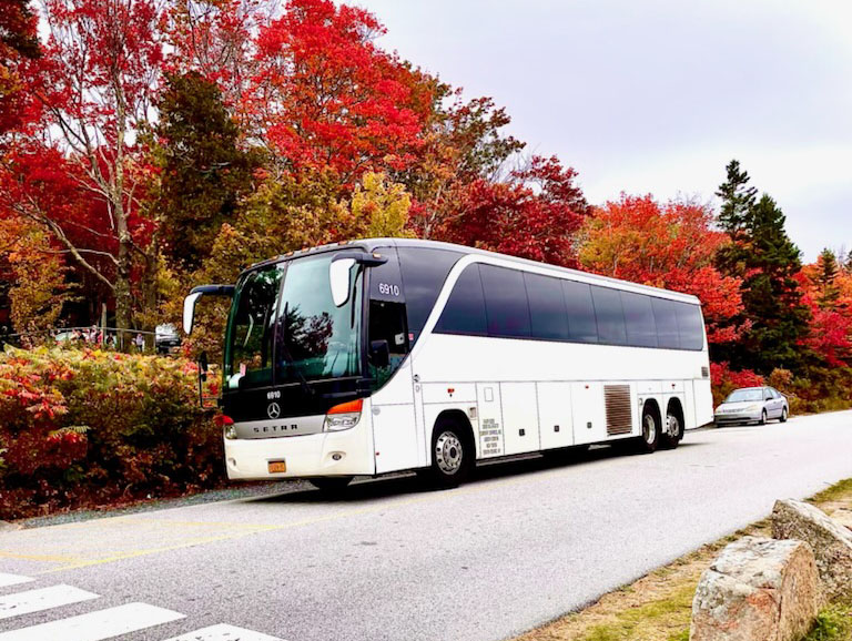 Efficient and Captivating Way to Bus Travel