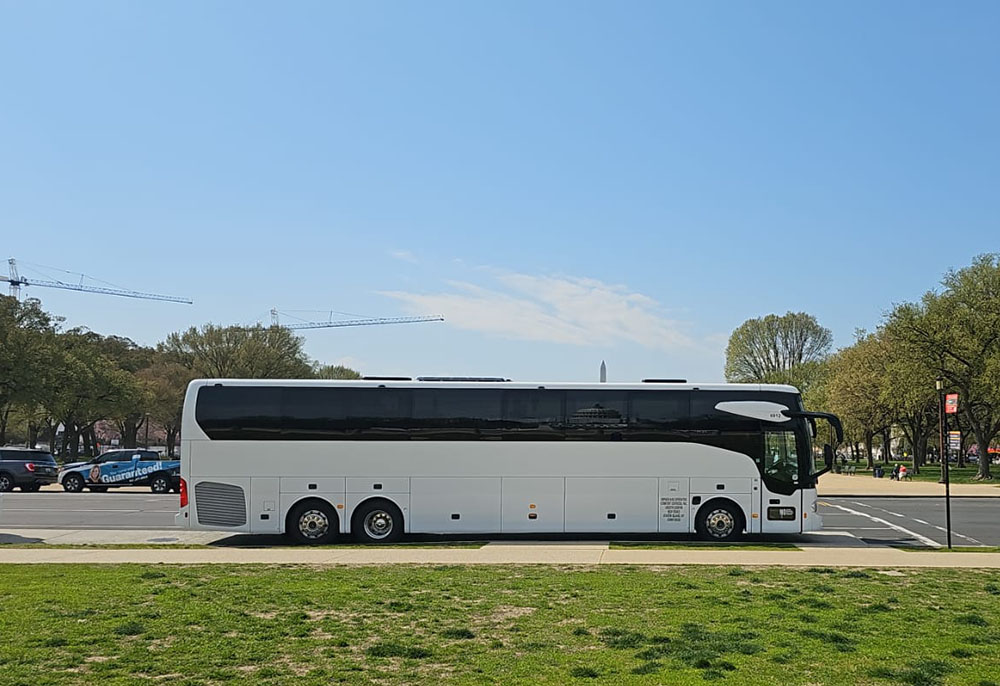 bus tours through the shopping centers of New York