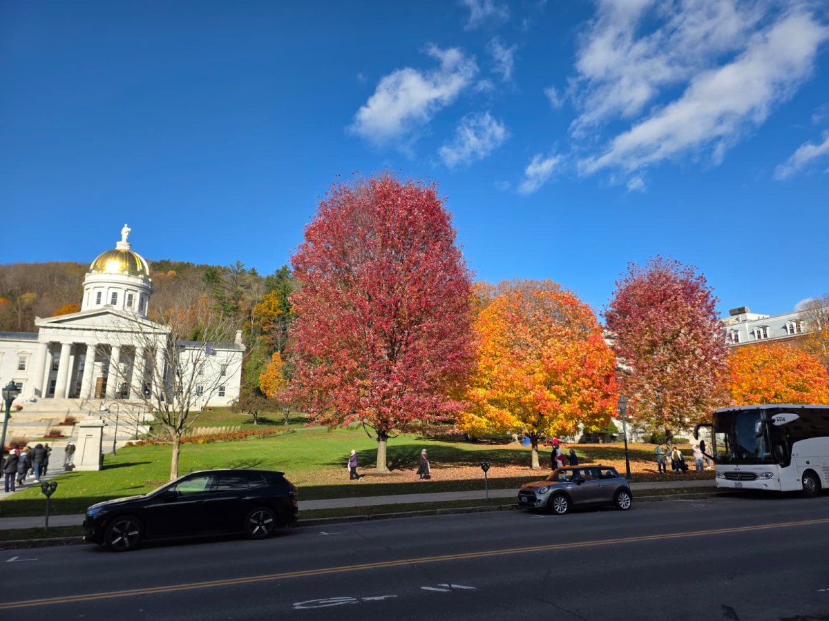 Recommended 7-Day Bus Tour Itinerary from New York City Recommended 7-Day Bus Tour Itinerary from New York City