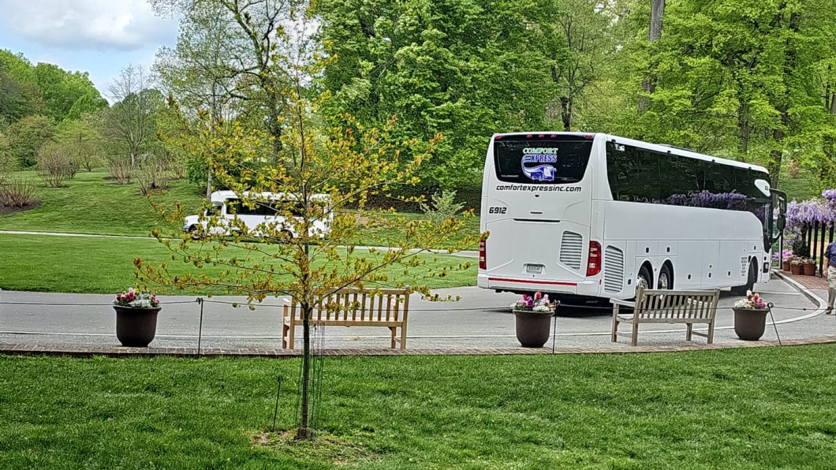 Types of charter buses for wedding transportation