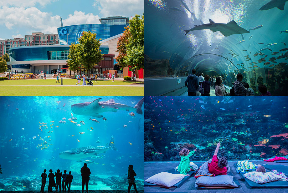 Georgia Aquarium